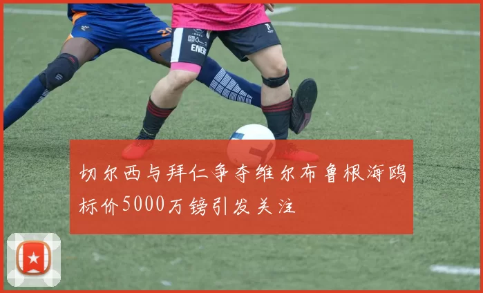 切尔西与拜仁争夺维尔布鲁根海鸥标价5000万镑引发关注