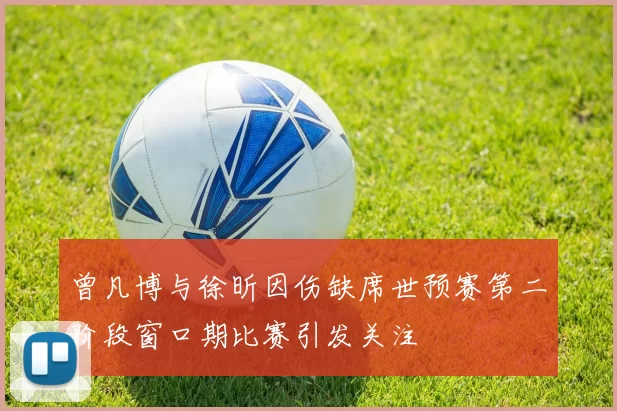 曾凡博与徐昕因伤缺席世预赛第二阶段窗口期比赛引发关注
