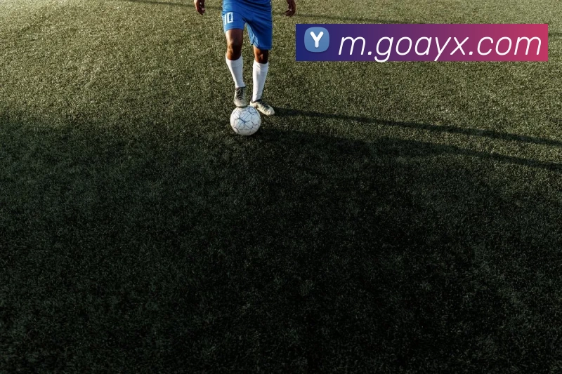 爱游戏体育APP 高清赛事图